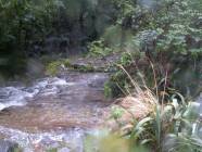 Previous image